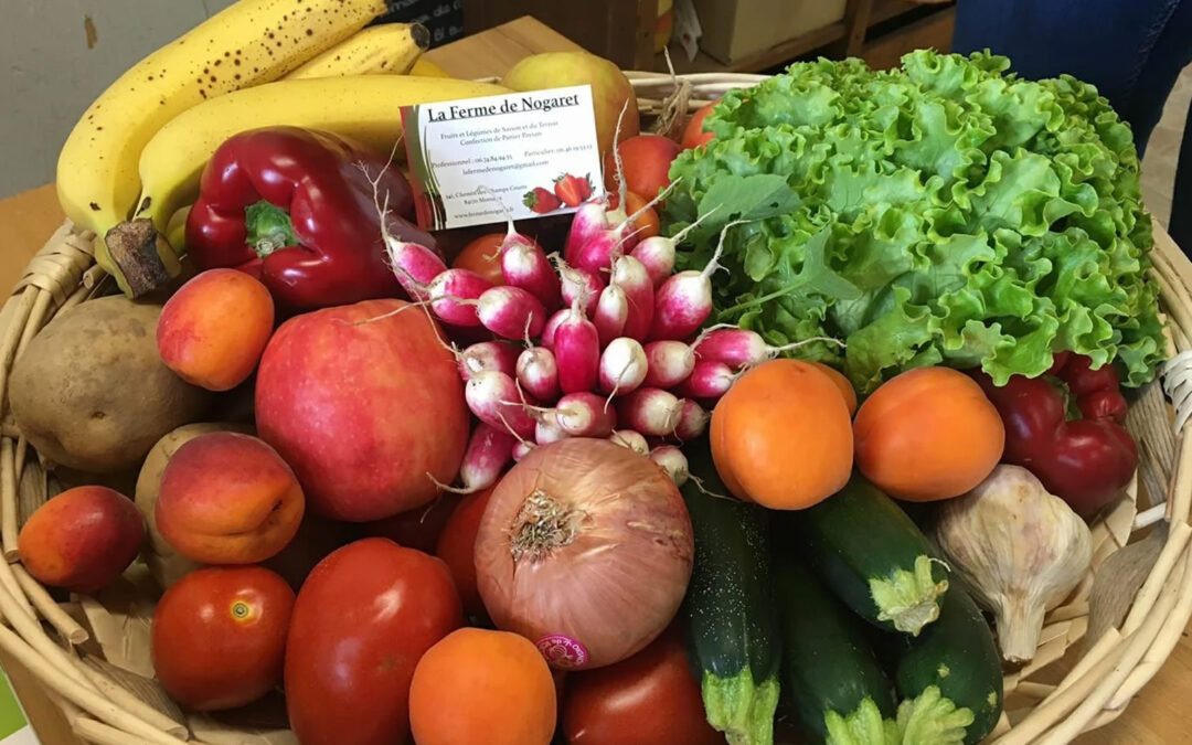 panier fruits et legumes de la ferme de nogaret