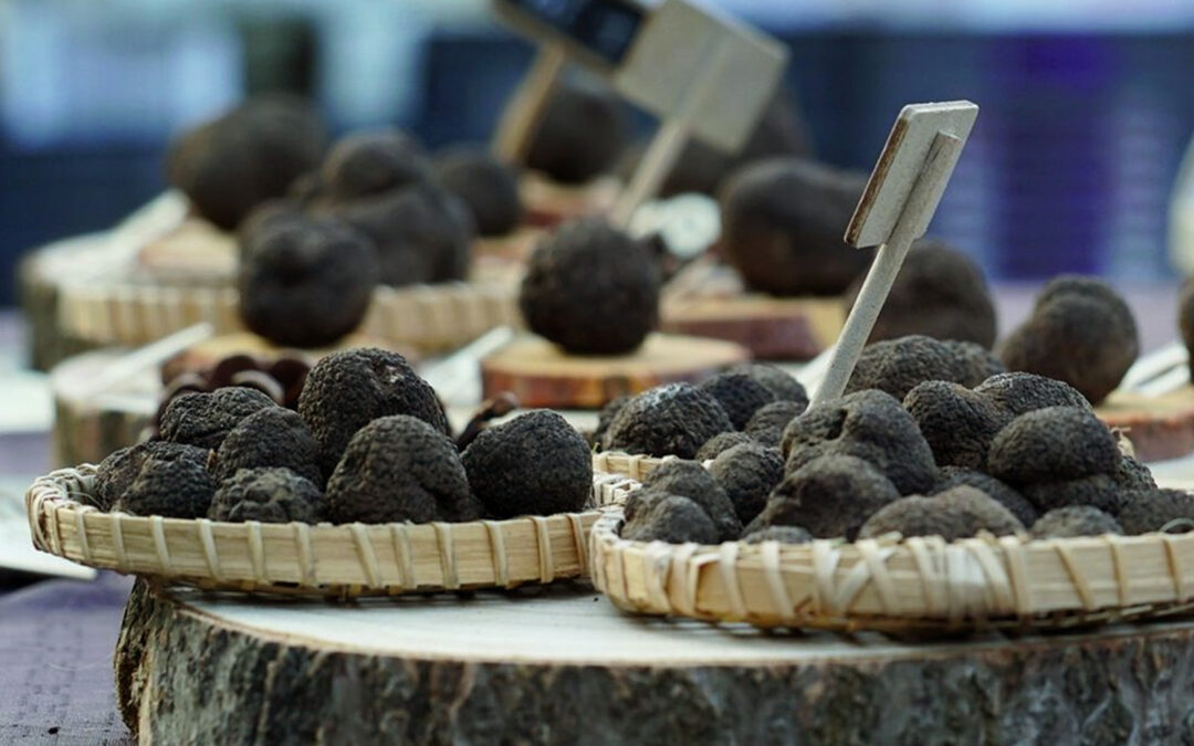 Marché aux truffes de Carpentras